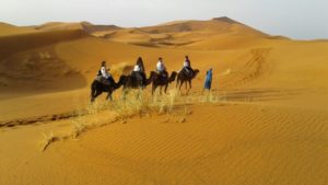 Morocco Camel Ride